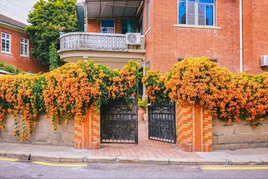 厦门剧好玩！这些影视剧取景地已成顶流打卡新地标