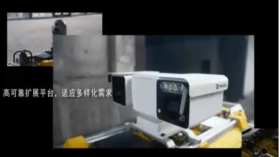 白犀破纪录，Apollo引领四足机器人新纪元