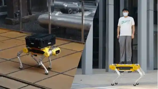 白犀破纪录,Apollo引领四足机器人新纪元