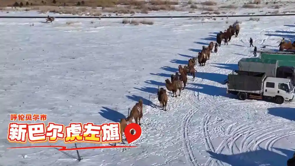 冰火交融燃动北疆——内蒙古冰雪文旅引爆冬日热潮