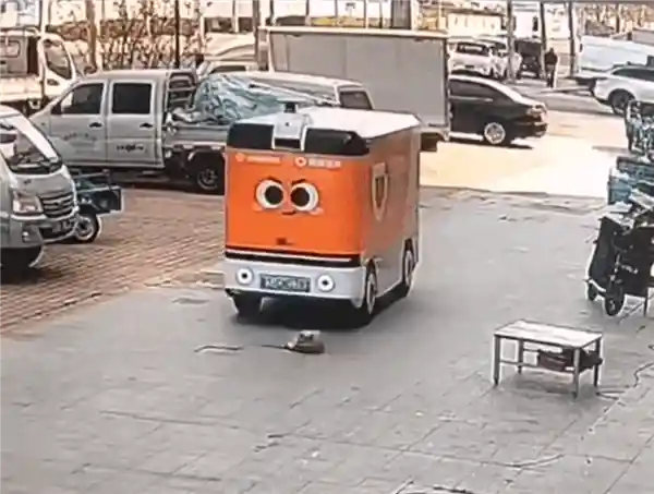 无人送货车碾压小狗后驶离，网友热议责任归属，青岛官方紧急辟谣